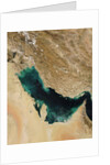 Persian Gulf by Anonymous