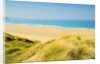 Perran Bay at Newquay by Anonymous