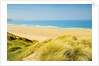 Perran Bay at Newquay by Anonymous