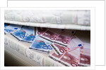 Money Under Mattress by Anonymous
