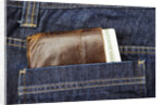 Wallet in Pocket by Anonymous