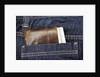 Wallet in Pocket by Anonymous