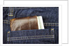 Wallet in Pocket by Anonymous