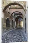 Cobblestone Streets in Ljubljana by Anonymous