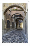 Cobblestone Streets in Ljubljana by Anonymous