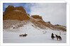 Cowboys on Hide Out Ranch in Big Horn Mountains by Anonymous
