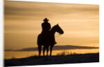 Cowboy at Sunset by Anonymous
