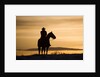 Cowboy at Sunset by Anonymous