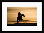 Cowboy at Sunset by Anonymous