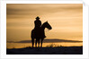 Cowboy at Sunset by Anonymous