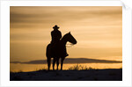 Cowboy at Sunset by Anonymous