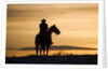 Cowboy at Sunset by Anonymous