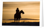 Cowboy at Sunset by Anonymous