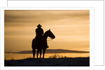 Cowboy at Sunset by Anonymous