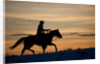 Silhouette of Cowboy in Wyoming by Anonymous