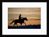 Silhouette of Cowboy in Wyoming by Anonymous