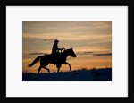 Silhouette of Cowboy in Wyoming by Anonymous