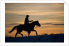 Silhouette of Cowboy in Wyoming by Anonymous
