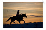 Silhouette of Cowboy in Wyoming by Anonymous