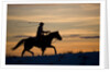 Silhouette of Cowboy in Wyoming by Anonymous