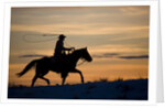Silhouette of Cowboy in Wyoming by Anonymous