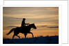 Silhouette of Cowboy in Wyoming by Anonymous