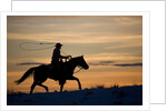 Silhouette of Cowboy in Wyoming by Anonymous