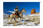 Wyoming Cowboy by Corbis