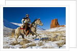 Wyoming Cowboy by Corbis