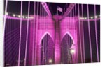Brooklyn Bridge Lit Purple by Anonymous