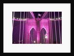 Brooklyn Bridge Lit Purple by Anonymous