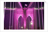 Brooklyn Bridge Lit Purple by Anonymous