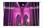 Brooklyn Bridge Lit Purple by Anonymous