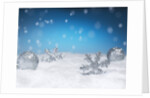 Christmas Decorations in Snow by Anonymous