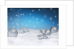 Christmas Decorations in Snow by Anonymous