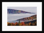 Fog Over Appalachian Mountains in Autumn by Anonymous