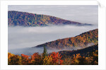 Fog Over Appalachian Mountains in Autumn by Anonymous