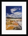 Colorful Terraces atop Mammoth Hot Springs by Anonymous