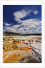 Colorful Terraces atop Mammoth Hot Springs by Anonymous