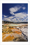 Colorful Terraces atop Mammoth Hot Springs by Anonymous