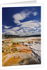 Colorful Terraces atop Mammoth Hot Springs by Anonymous
