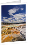 Colorful Terraces atop Mammoth Hot Springs by Anonymous