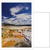 Colorful Terraces atop Mammoth Hot Springs by Anonymous