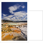 Colorful Terraces atop Mammoth Hot Springs by Anonymous