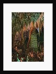 Temple of the Sun Formation at Carlsbad Caverns by Anonymous