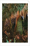 Temple of the Sun Formation at Carlsbad Caverns by Anonymous