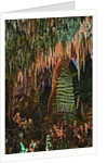 Temple of the Sun Formation at Carlsbad Caverns by Anonymous