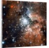 NGC 3603 by Anonymous