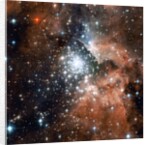 NGC 3603 by Anonymous