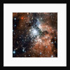 NGC 3603 by Anonymous